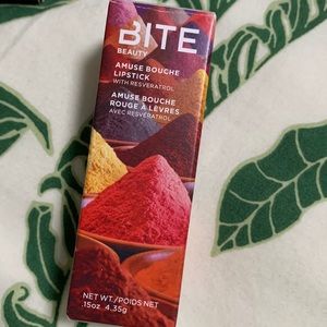 BITE BEAUTY Amuse Bouche Lipstick in shade Hot Harissa